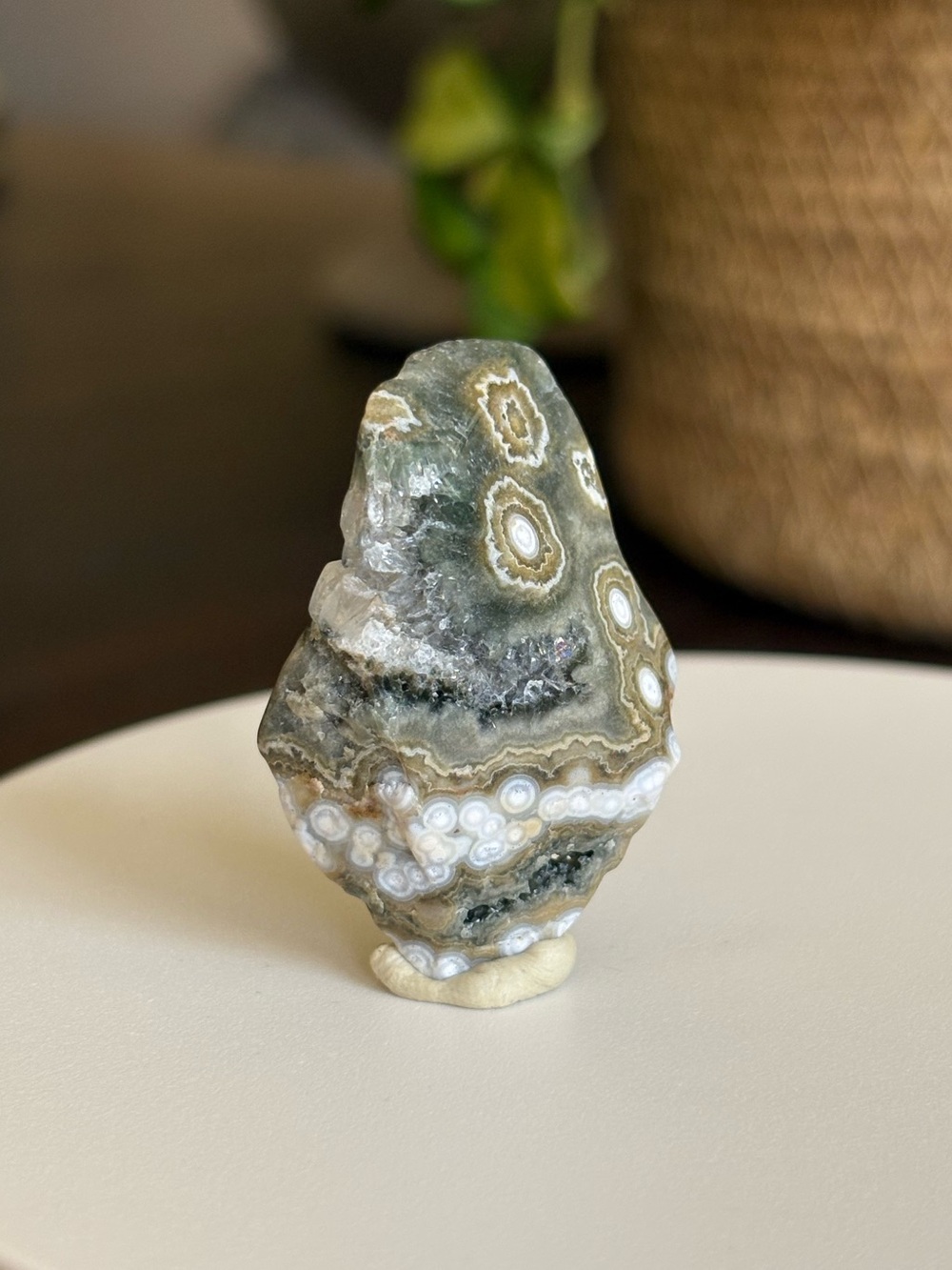 Ocean Jasper Crystal Set - Polished Sea Jasper Bundle - Orbicular Jasper - Picture 14 of 17